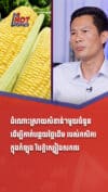 ដំណោះស្រាយសំខាន់ៗមួយចំនួន ដើម្បីកាត់បន្ថយថ្លៃដើមរបស់កសិករក្នុងអំឡុងវិបត្តិស្បៀងសកល