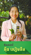 សិប្បកម្មប្រេងរឺតបំបាត់ការឈឺចាប់ធ្វើពីស្លឹកម្លូ