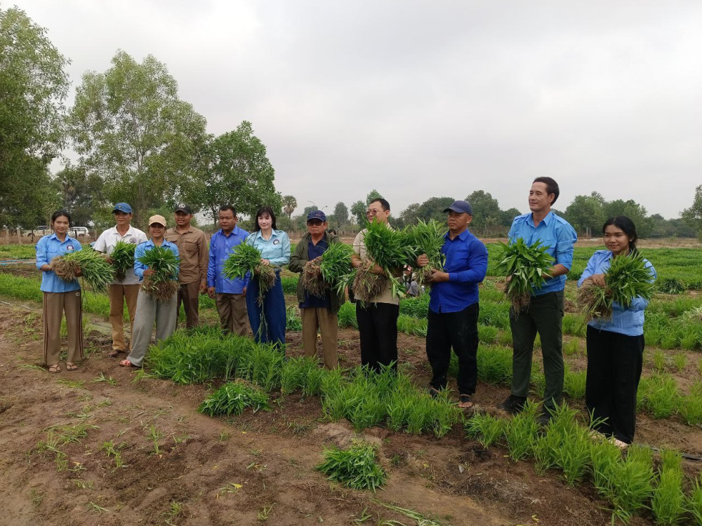 សួនបន្លែសុវត្ថិភាពសមាគមកាយឫទ្ធិនារីកម្ពុជា សម្រាប់​ចែកជូនពលរដ្ឋភៀសសឹក ស្រុកប្រាសាទបាគង ប្រមូលផលលើកទី៣