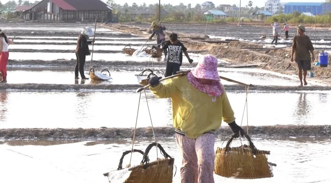 ការផលិតអំបិលឆ្នាំ២០២៦ អាចមានភាពយឺតយ៉ាវដោយសារកត្តាអាកាសធាតុ