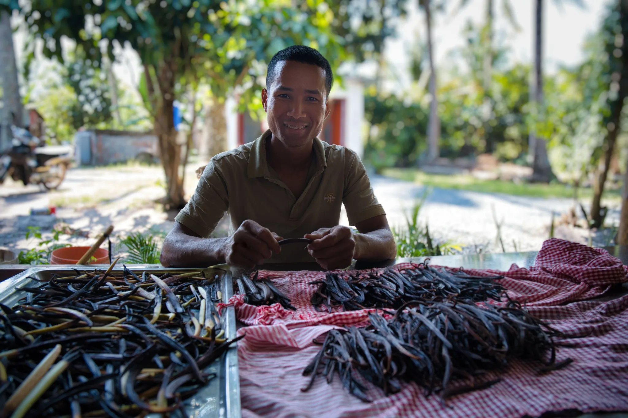 កសិករ​ពីរគ្រួសារ​​លើ​ខ្នង​ភ្នំគូលែន រំពឹងរក​ចំណូលបាន​​រាប់​ម៉ឺនដុល្លារពីដំណាំវ៉ានីឡា ​