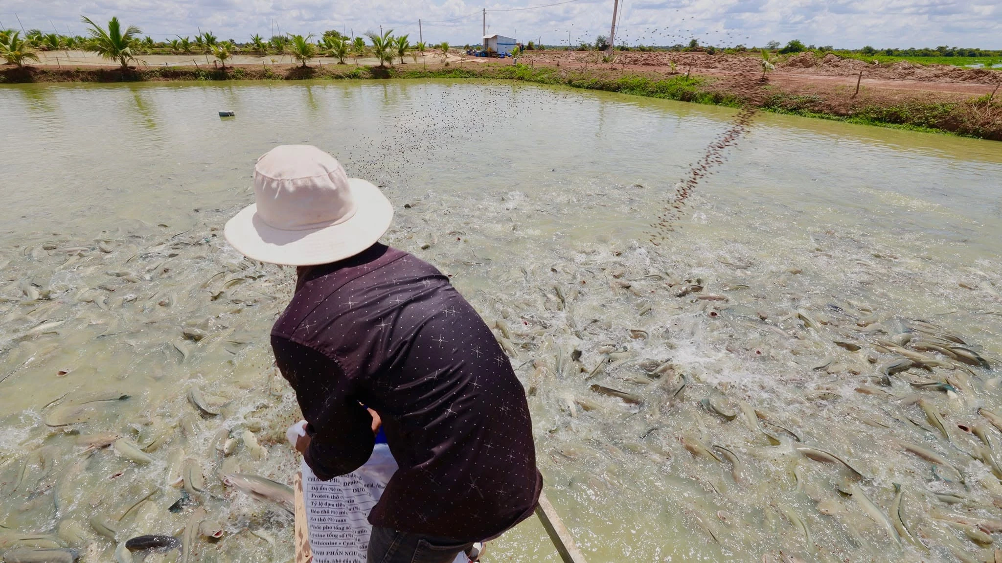 អាជីវកម្មចិញ្ចឹមត្រីរ៉ស់ដ៏ធំមួយកន្លែង មានលទ្ធភាពផ្គត់​ផ្គង់ត្រីសាច់ចូលទីផ្សារបានដល់ប្រមាណ ២០តោនក្នុងមួយថ្ងៃ