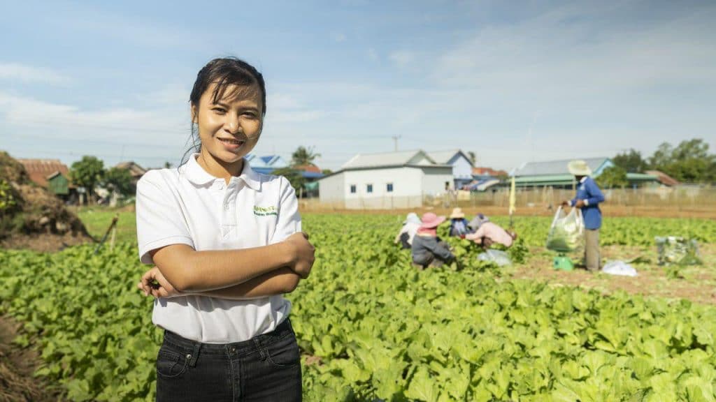 ប្រព័ន្ធ ស្រោចដំណាំ