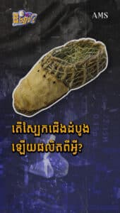 តើស្បែកជើងដំបូងឡើយផលិតពីអ្វី?