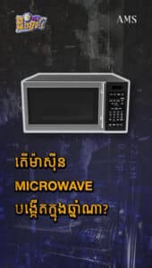 តើម៉ាស៊ីន Microwave បង្កើតក្នុងឆ្នាំណា?