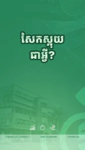 តើអ្វីទៅជា សែក និងសែកស្អុយ?