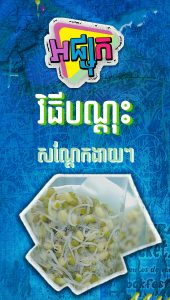 វិធីបណ្តុះសណ្តែកងាយៗ