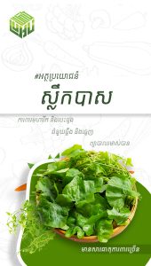 អត្ថប្រយោជន៍នៃស្លឹកបាស់