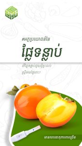 តើផ្លែទំលាប់ជួយអ្វីខ្លះដល់ស្រ្តីមានផ្ទៃពោះ