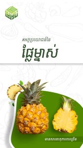 អត្ថប្រយោជន៍៍នៃផ្លែម្នាស់