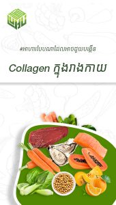 អាហារបែបណាដែលអាចជួយបង្កើន collagen ក្នុងរាងកាយ