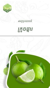 អត្ថប្រយោជន៍នៃក្រូចឆ្មា