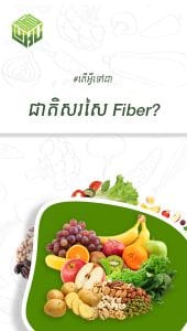 តើអ្វីទៅជាជាតិសរសៃ Fiber?
