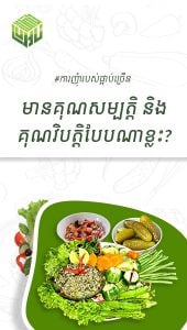 ការញុំារបស់ផ្អាប់ច្រើនមានគុណសម្បតិ្ត និងគុណវិបត្តិបែបណាខ្លះ?  