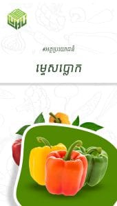 អត្ថប្រយោជន៍ម្ទេសប្លោក