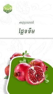 អត្ថប្រយោជន៍នៃផ្លែទទឹម