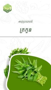 អត្ថប្រយោជន៍នៃត្រកួន