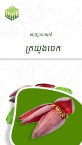 អត្ថប្រយោជន៍នៃត្រយូងចេក
