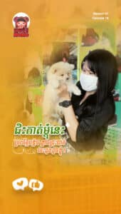Honey Dog shop