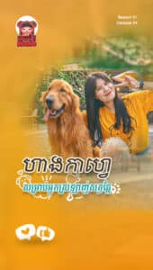 Dog Café