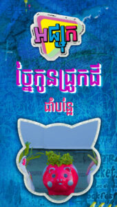 ច្នៃកូនជ្រូកដី ដាំបន្លែ
