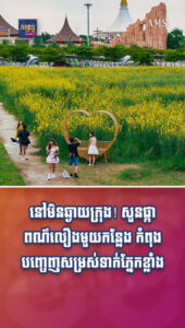 អាហារនិងដើរលេង៖ ស្អាតមែនទែន! សួនផ្កាពណ៌លឿងមួយកន្លែង កំពុងបញ្ចេញសម្រស់ទាក់ភ្នែកខ្លាំង
