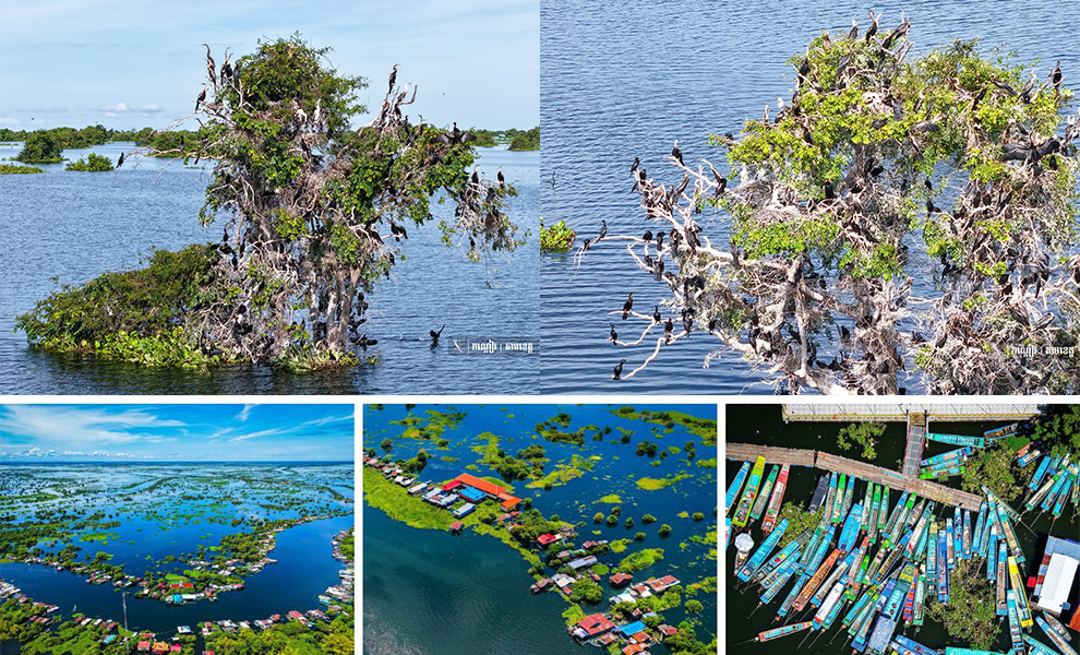 ភូមិព្រែកទាល់ ទីឋានគយគន់សត្វស្លាបរាប់រយប្រភេទ អមដោយផ្ទះបណ្ដែតទឹករាប់រយ